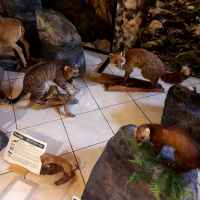 352D0E44-16CB-45EC-AE91-753B7DDA5A7C