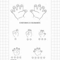 Contamus e coloramus