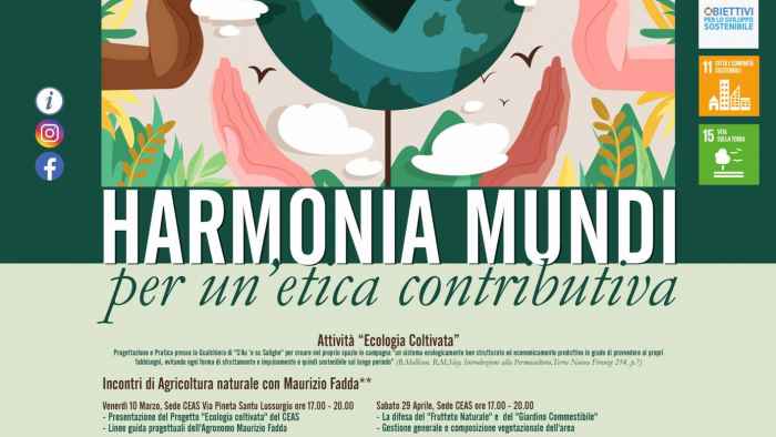 Locandina per il Web