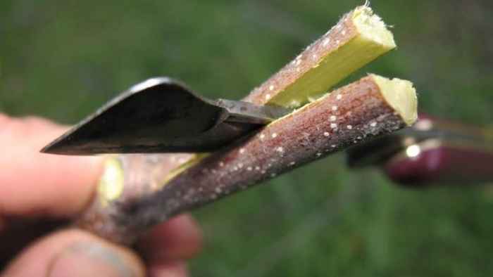 WhatsApp Image 2018-04-04 at 09.35.14