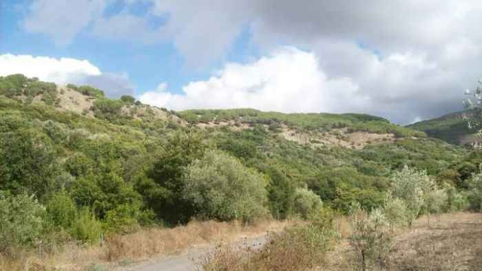 WhatsApp Image 2018-04-03 at 12.00.31