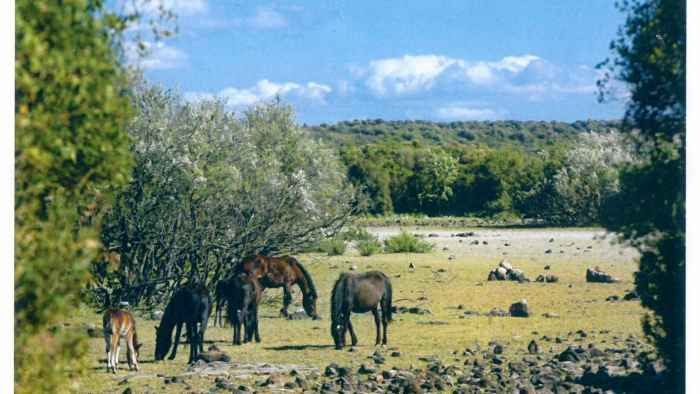 Untitled_14062021_091232