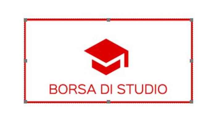 borsa di studio