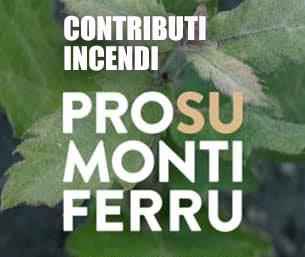 contributi incendi