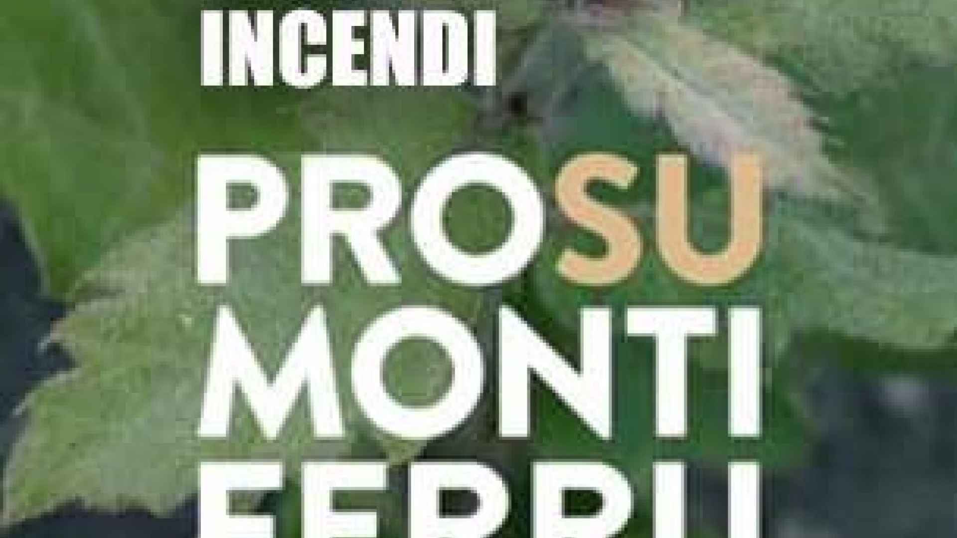contributi incendi