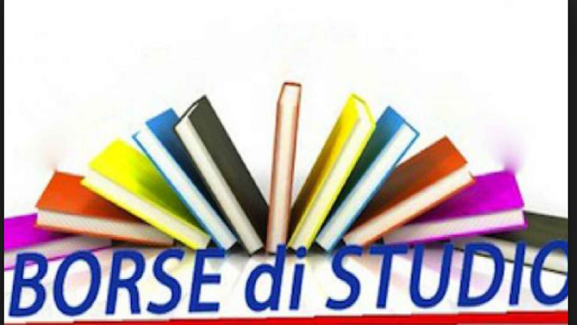 borse-di-studio