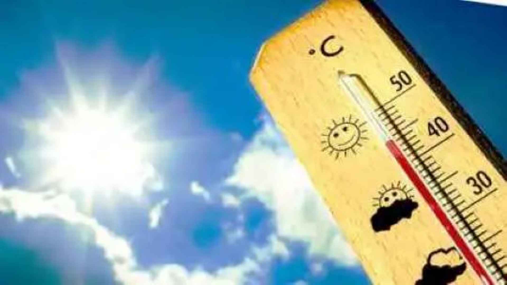 caldo-temperature
