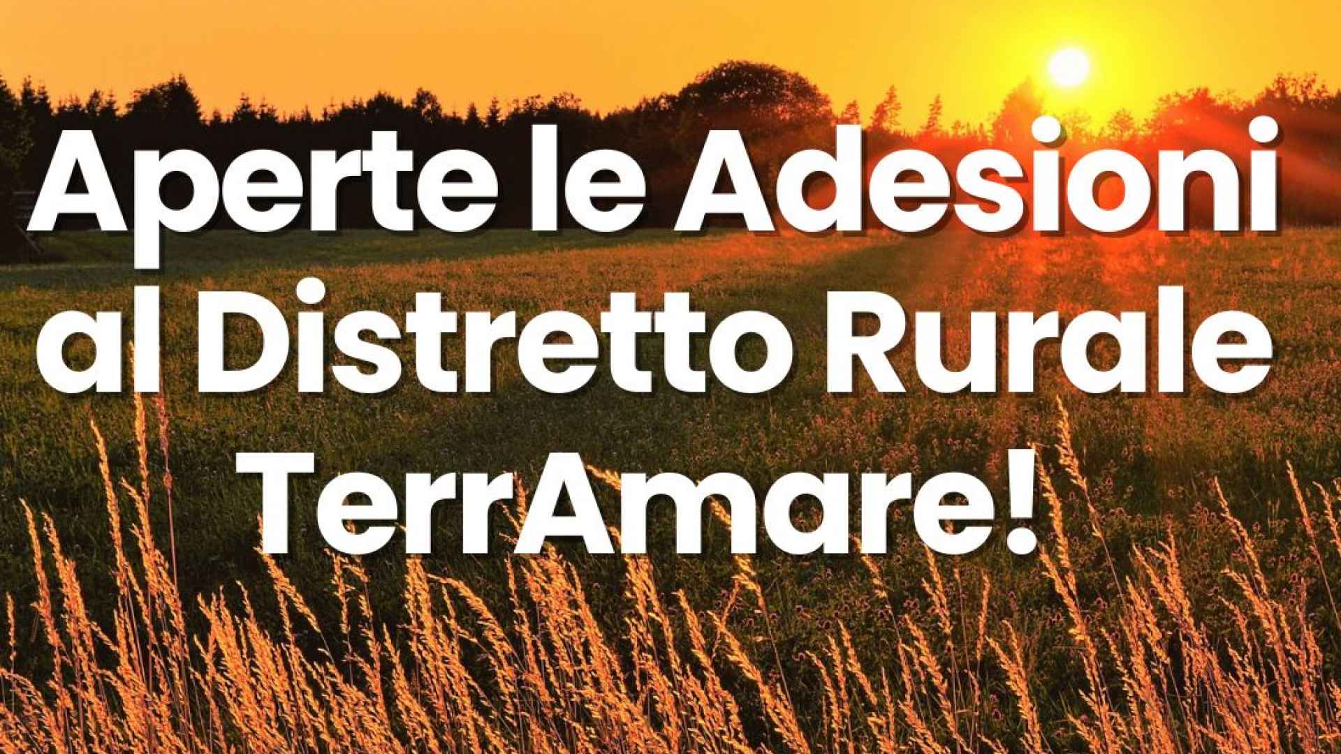 terramare-distretto-rurale