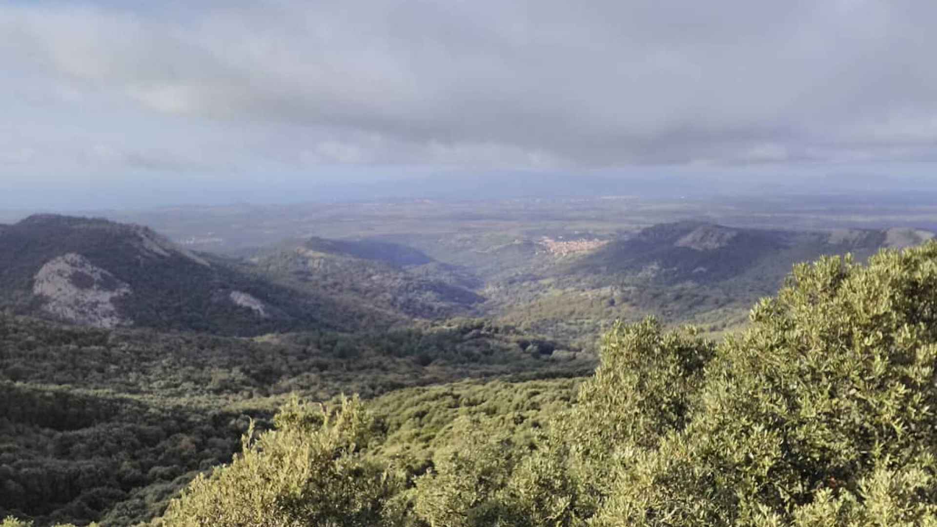 LEGNATICO