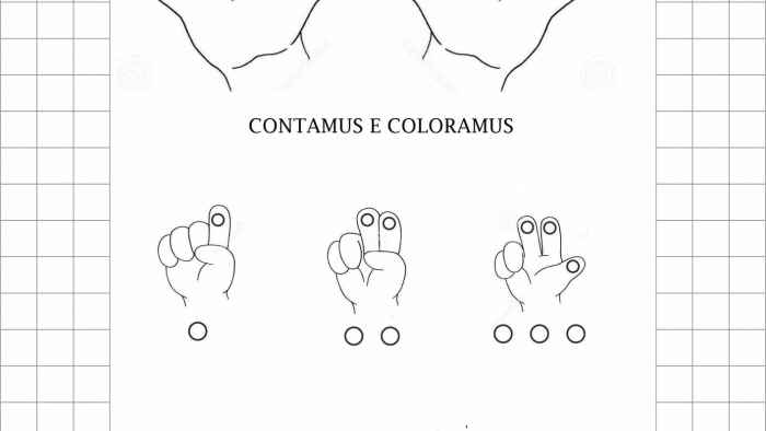 Contamus e coloramus
